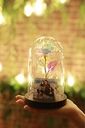 Doğum Günü Hediyesi Fanus Yıl Dönümü Hediyelik