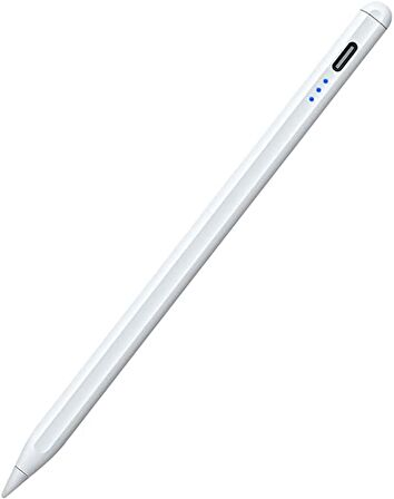 iPad Air 5. Nesil Stylus Pen A2588 /A2589 /A2591 Avuç içi ve Eğim Özellikli 