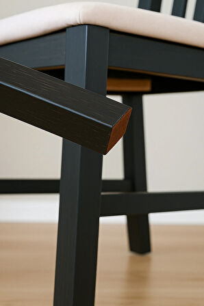 2 Ad Yapışkanlı Keçe Mobilya Masa Sandalye Parke Zemin Ayak Koruyucu Kaydırmaz Keçesi 120MM x 240MM