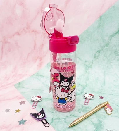 Hello Kitty & Kuromi & My Melody & Cinnamoroll Best Friends Suluk Matara 500 ml - Pembe