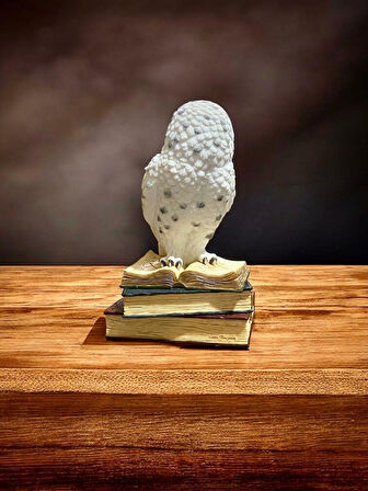 Luxxi Kitap Üstünde Kar Baykuşu Veronese - OFİS VE HEDİYELİK MASAÜSTÜ DEKOROTİF ÜRÜNLER VE AKSESUARLAR