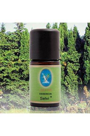 Nuka Organik Bergamot, Servi Selvi, Niaouli Yağı 5 Ml 3 Lü Uçucu Yağ Aromaterapi