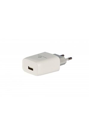 Micro USB Girişli Cihazlar için Newface C71 Micro USB 2.1A Seyahat Şarj Aleti