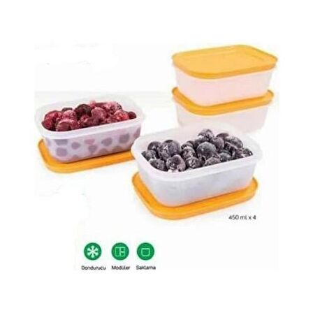 TUPPERWARE ALASKA SERİSİ DERİN DONDRUCU SAKLAMA KABI 4 LÜ 450 ML