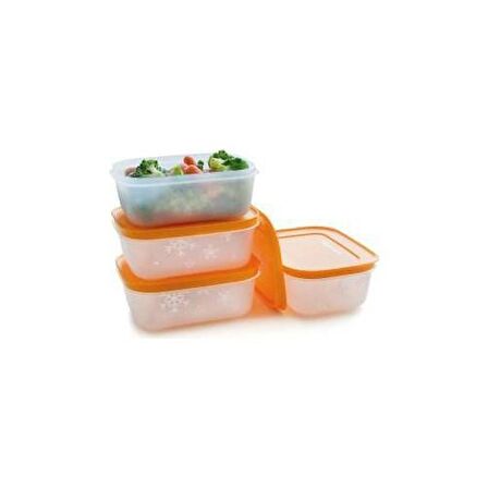 TUPPERWARE ALASKA SERİSİ DERİN DONDRUCU SAKLAMA KABI 4 LÜ 450 ML