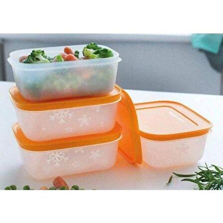 TUPPERWARE ALASKA SERİSİ DERİN DONDRUCU SAKLAMA KABI 4 LÜ 450 ML