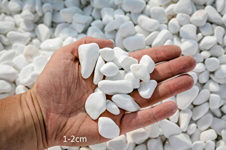 Beyaz Dolomit Taşı 50 Kg 1-2 Cm Dolomit Taş Akvaryum Dekorasyonu Dere Çakılı Mezar Taşı Bahçe Süs Taşı Mezar Süsleme Taşı