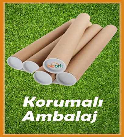 Bizerk Görsel Pembe Bulutun Üzerinde Uyuyan Sevimli Bebek Oyuncak Ayı Cam Kapı Duvar Sticker Seti