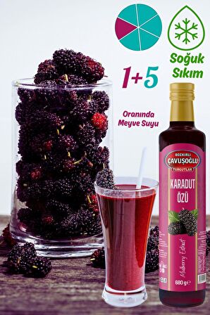 Doğal ve Katkısız Karadut Özü 680g