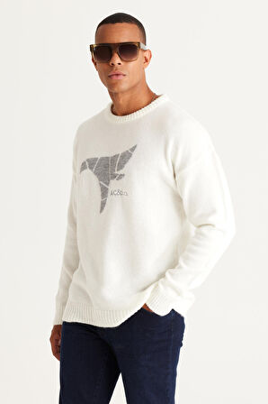 Erkek Ekru Oversize Bol Kesim Bisiklet Yaka Desenli Triko Kazak