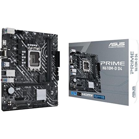 Asus H610M-D Intel H610 LGA 1700 DDR4 3200 MHz Masaüstü Anakart