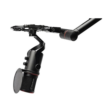 AVerMedia AM350 Cardioid – Omnidirectional Condenser Yayıncı – Podcast Mikrofonu