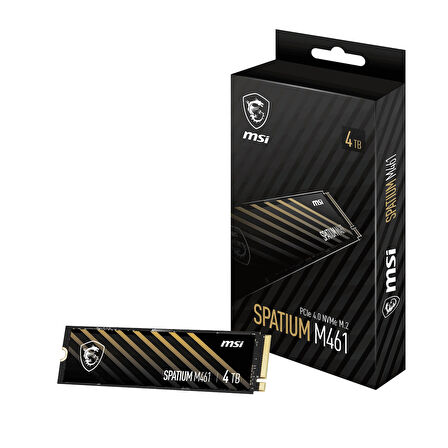 MSI Spatium M461 4TB 5000/4200MB/s PCIe Gen 4.0 NVMe M.2 SSD Disk