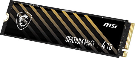 MSI Spatium M461 4TB 5000/4200MB/s PCIe Gen 4.0 NVMe M.2 SSD Disk
