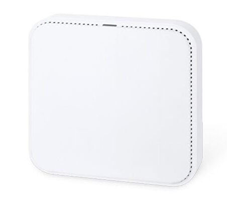 Planet PL-WDAP-C3000AX 2 Port Gigabit Dual Bant 3000Mbps Tavan Tipi Access Point