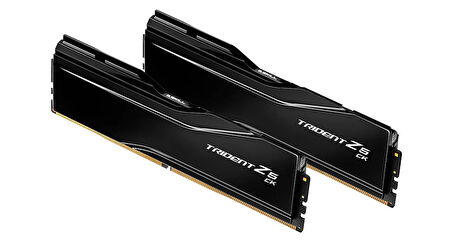 GSKILL Trident Z5 CK 48GB (2x24GB) 8800MHz CL42 DDR5 Gaming Ram (F5-8800C4255H24GX2-TZ5C)