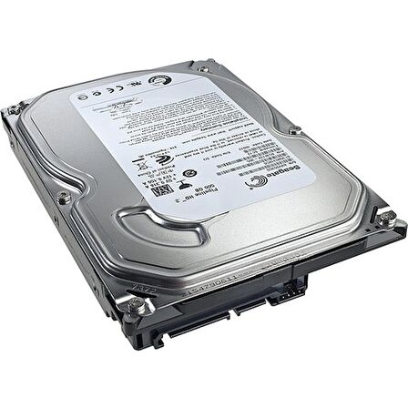 Seagate ST3500312 Sata 3.0 3.5 inç 500 GB Harddisk