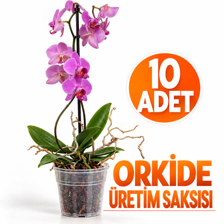  10 Adet Orkide Üretim Saksısı - Plastik Şeffaf Orkide Üretimine Uygun Saksı