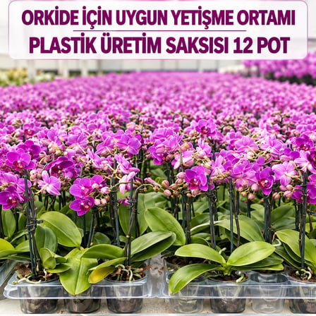  10 Adet Orkide Üretim Saksısı - Plastik Şeffaf Orkide Üretimine Uygun Saksı