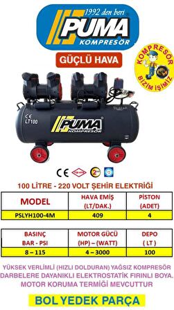 100 LT YÜKSEK VERİMLİ YAĞSIZ KOMPRESÖR (4 HP)