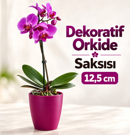 Dekoratif Vişne Orkide Saksısı - 4 Adet Set Fiyatlı - 12 Pot Üretim Saksısına Uygun Kaliteli Ürün