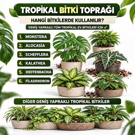 10 Litre - Tropikal Bitki Toprağı Monstera - Alocasia - Schefflera Için Sinek Yapmayan Formül