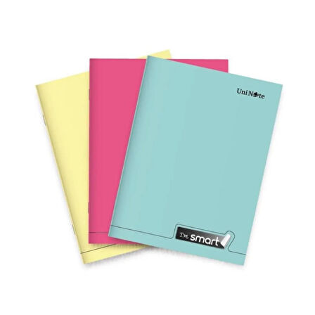 Çınar Im Smart A4 100 Yaprak Plastik Kapak Dikişli Defter Kareli 2 Adet