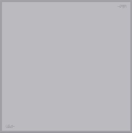 La Boutique Tivil Saf İpek Eşarp TİDÜZ21 - 49031 Gümüş Düz Renk