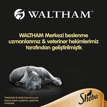 Sheba Etli Seçenekler 4X85 gr 13 paket (52 Tekli Paket)