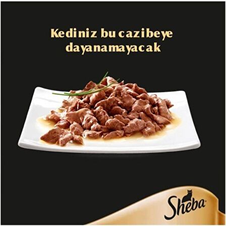 Sheba Hindi Etli Pouch Jelly Kedi Yaş Mama 24 X 85 gr