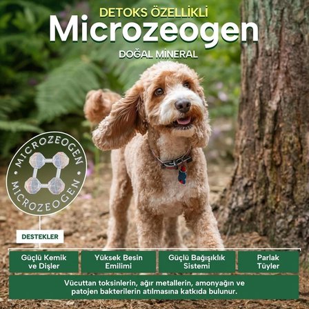 Nature's Protection Superior Care Kızıl/Kahverengi Tüylü Köpekler İçin Somonlu Tahılsız Küçük Irk Köpek Maması 10 kg