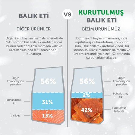 Nature's Protection Superior Care Kızıl/Kahverengi Tüylü Köpekler İçin Somonlu Tahılsız Küçük Irk Köpek Maması 10 kg