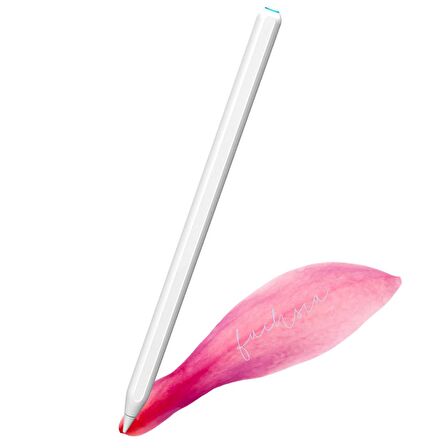 Apple iPad 12,9 İnç 6 Nesil Kablosuz Şarj Olabilen Eğime Duyarlı Avuç İçi Reddetme Özellikli (2. Nesil) Kalem 