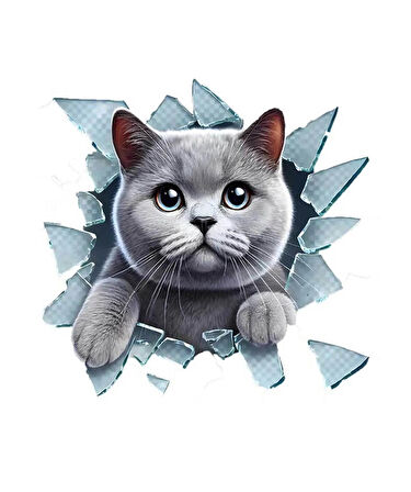 Araba Arka Cam için  Kedi Etiket Sticker 17Cm