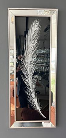 Gümüş Tek Tüy Aynalı Tablo