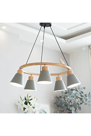 Thrimatic Nordic Avize 5'li