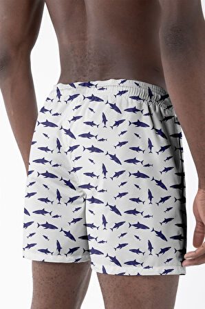 Daag Erkek Deniz Şortu