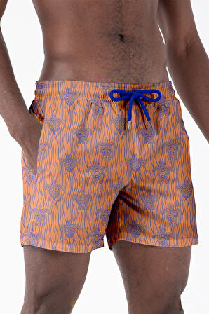 Daag Erkek Deniz Şortu