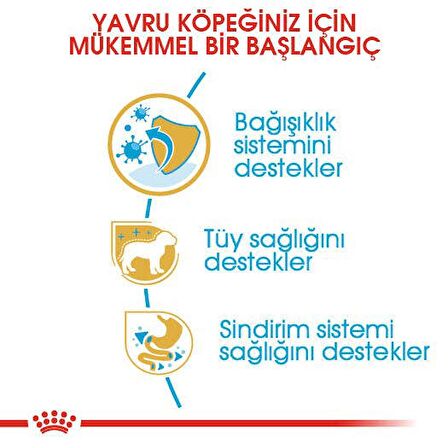 Royal Canin Poodle Yavru Köpek Maması 3kg