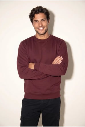 Jsco 6201 0 Yaka 3 İplik Erkek Sweatshirt JSSWTK27E000002