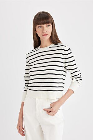 DeFacto Regular Fit Yumuşak Dokulu Bisiklet Yaka Çizgili Triko Kazak C5261AX24AUER105