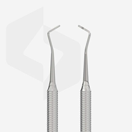 Staleks Expert Çift Uçlu Tırnak Pedikür Aleti PP-10-1