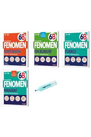 6. Sınıf B Serisi Matematik Fen Türkçe Ve Paragraf Soru Bankası