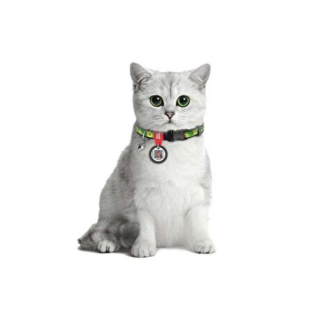 Collar QR Pasaportlu Kedi Boyun Tasması 20-30 Cm 10 MM "Avocado"