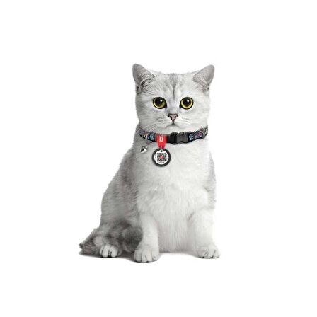 Collar QR Pasaportlu Kedi Boyun Tasması 20-30 Cm 10 MM "İndie"
