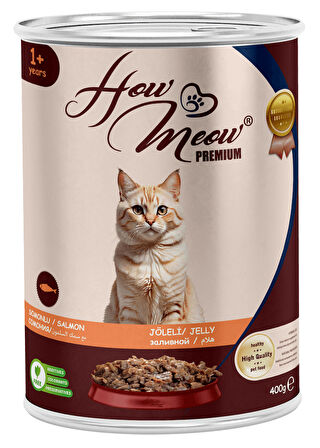 HOW MEOW 12 ADET PATE YETİŞKİN KEDİ YAŞ MAMASI SOMONLU