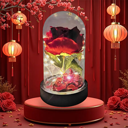 Fanus Içerisinde Dekoratif RGB Led Işıklı Solmayan Kırmızı Gül