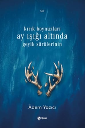 Kırık Boynuzları Ay Işığı Altında Geyik Sürülerinin