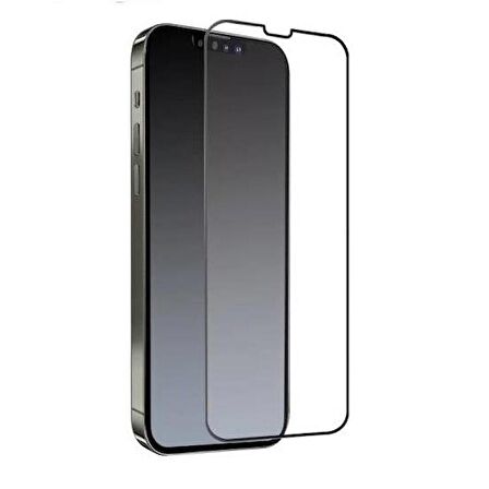 Akfa Apple Uyumlu iPhone 12 Pro Akfa Metalik Şeffaf Ekran Koruyucu 
