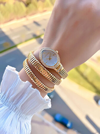 U.S.Polo Assn. Çelik Kordon Ve Kasa Kararma Renk Atma Yapmaz 2 Yıl Garantili Kadın Kol Saati MDL.02